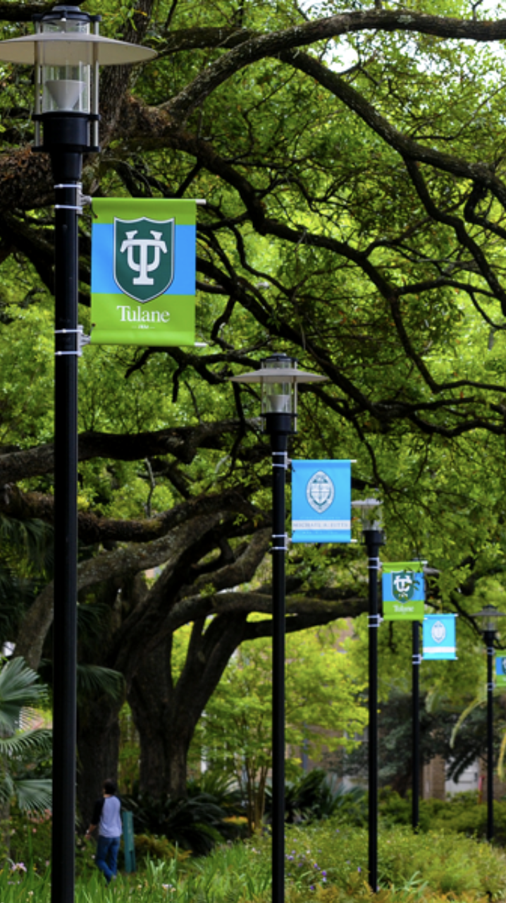 ufm-tulane-campus-arboles