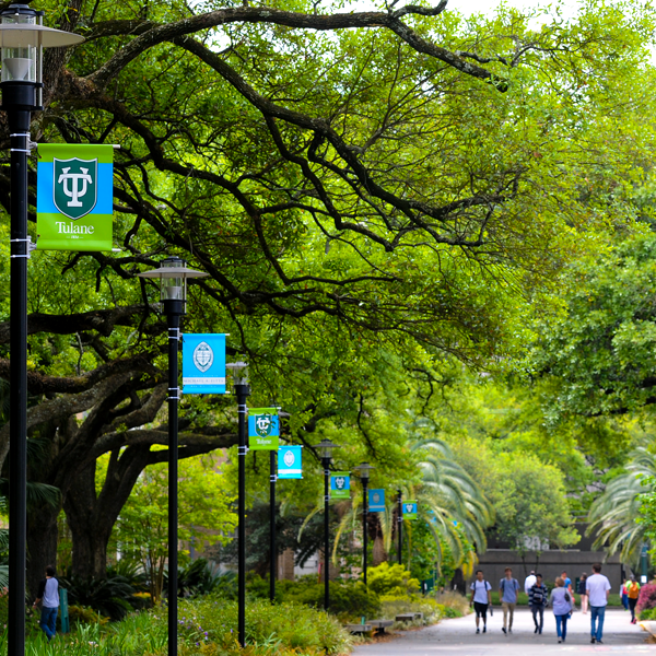 Campus Tulane University